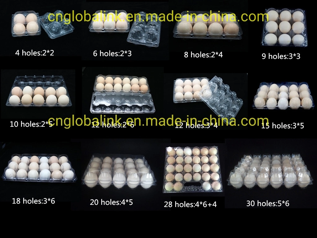 Plastic Chicken Egg Box Quail Egg Packing Tray 12/15/30 Cells Plastic Packaging